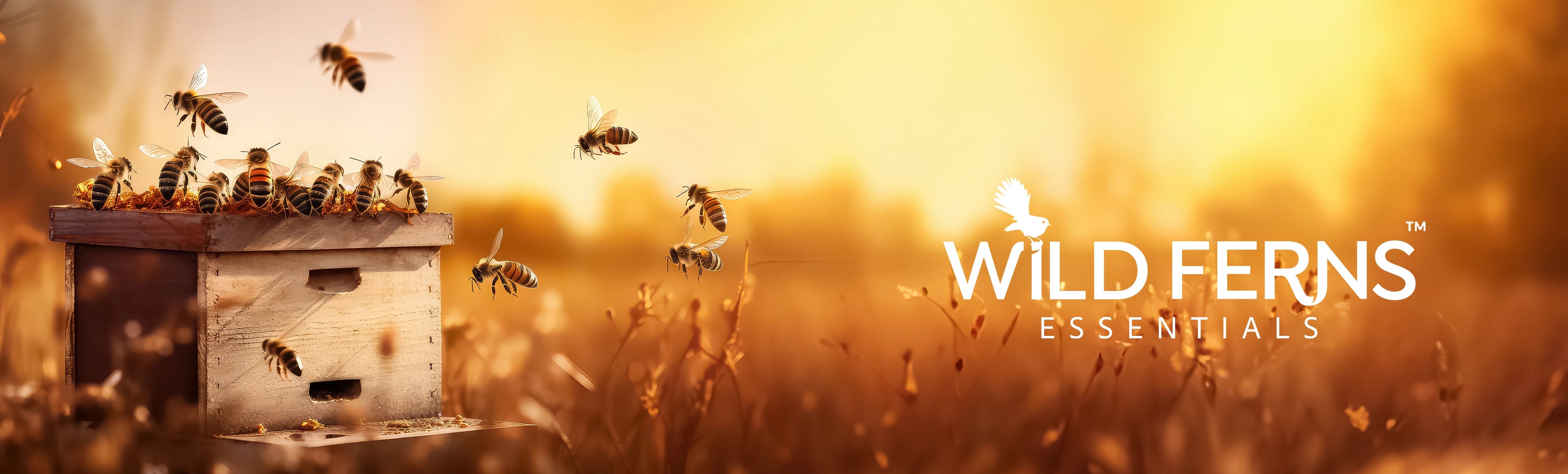 custom-slideshow-image-desktop-block_3M4wLc